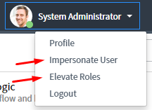  UI16 Impersonate & Elevate Roles 